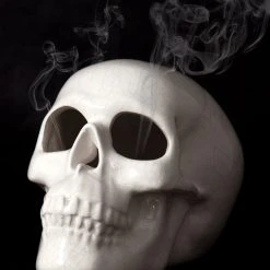 AFT1 SKULL INCENSE BURNER Accessories